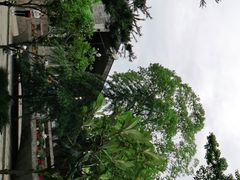 -定胜糕小店-蒋顺发