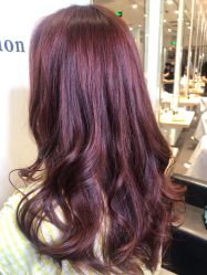 -东方麒麟·潘多拉SALON