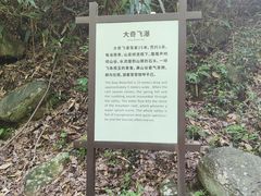 -大奇山国家森林公园