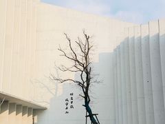 -中国宣纸文化园