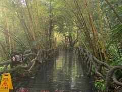 -呀诺达热带雨林