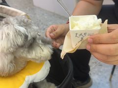 -野人先生现做冰淇淋(北京环宇荟店)