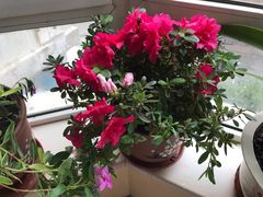 -兴业银行(哈尔滨分行)