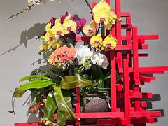 -云溪植物园