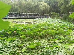 -刘家花园·柴火鸡·中餐酒楼·西昌烧烤(三圣乡店)