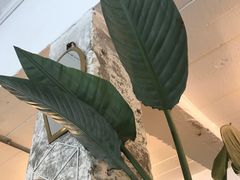 餐具摆设-RAC BAR(安福路店)