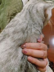 -吉吉靓甲美睫