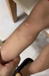 -木马王国淘气堡儿童乐园