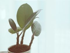 -德门仁里精品酒店(安仁店)