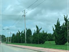 -养马岛旅游度假区