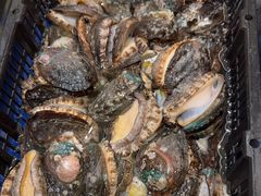 -海景壹号大酒店(滨湖店)