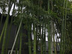 -个园
