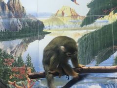 -西安秦岭野生动物园