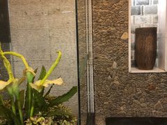 -天芳悦潭度假村温泉