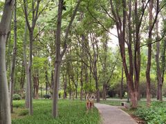 -洛阳市隋唐城遗址植物园