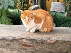 -龙华寺