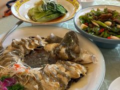 清蒸鲜鲈鱼-博雅渔港·融合菜(维也纳国际大酒店)