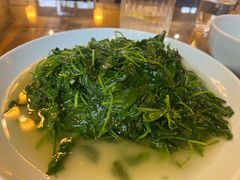 酒香草头-双塔老饭店