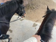 -盈香心动乐园