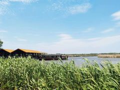 -宁波杭州湾国家湿地公园