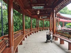 -金银湖国家城市湿地公园