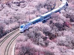 -居庸关长城