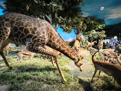 -国家自然博物馆