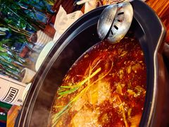 -金海椒罐罐鲢鱼(东方桂苑店)