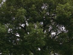 -辛亥革命博物院北区