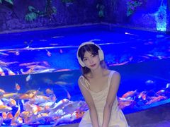 -左海海底世界