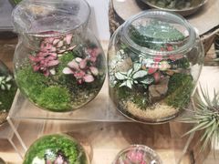 -扶光书店(中环店)