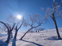 -雪谷
