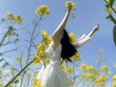 -桤木河湿地公园