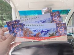 -白草畔自然风景区