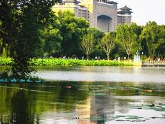 -莲花池公园