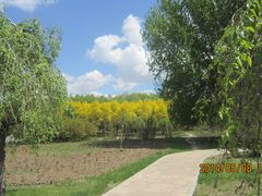 园区一角-长春公园(普阳街道)