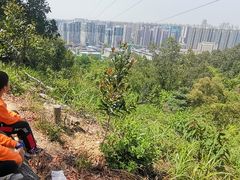 -中山市树木园