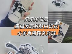 -LELECHA乐乐茶(新街口大洋店)