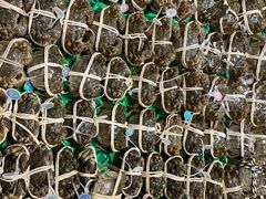 -AEON永旺(东方宝泰店)