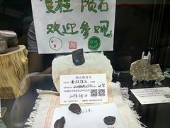 -志强陨石馆(双季花艺店)