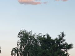 -九龙壁