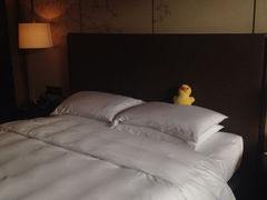 iphone_upload_pic-上海崇明金茂凯悦酒店