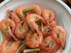 -小小饭店·休闲农庄·安吉松树林里的农家菜