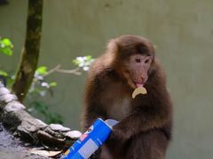 -西岭雪山大飞水景区