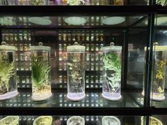 -广东中医药博物馆