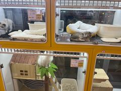 -合肥蜀山万象汇