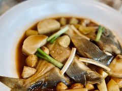 鲳鱼烧年糕-新荣记(新源南路店)