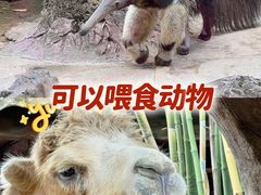 -长鹿旅游休博园