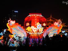 -眉山湿地公园(东坡区)