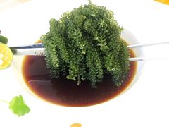 -安多素食(广仁寺路店)